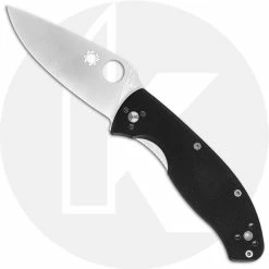 Spyderco Knives Spyderco Tenacious Knife, SP-C122GP