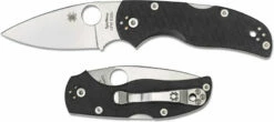 Spyderco Native 5 Knife, SP-C41GP5 -Cheap Case Knives Store SP C41GP5